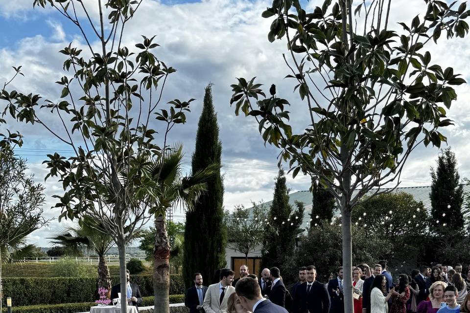 Jardines