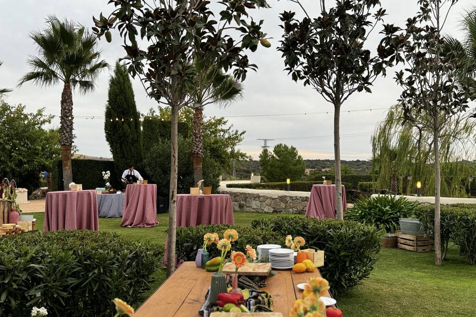 Cóctel jardín