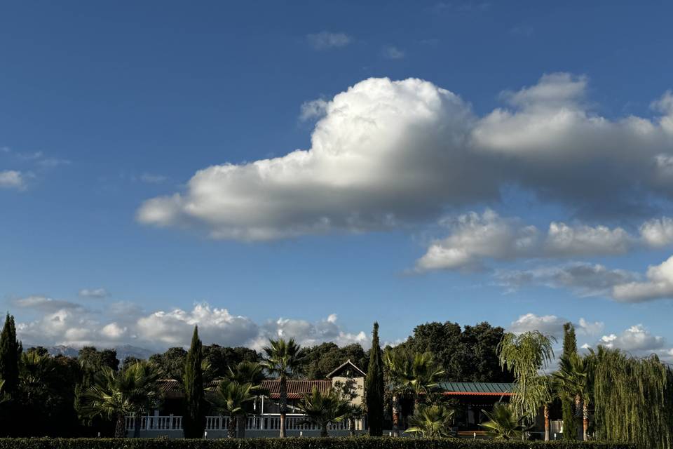 Vista principal