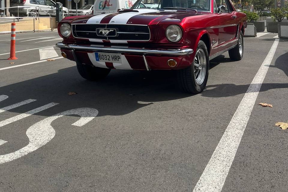 Frontal Mustang