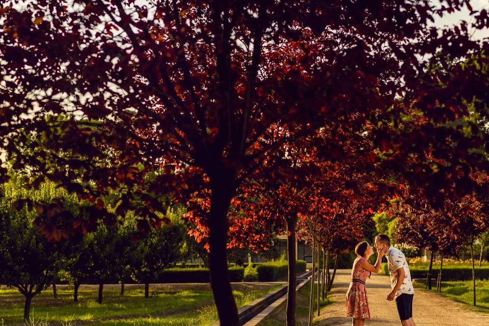 El árbol rojo