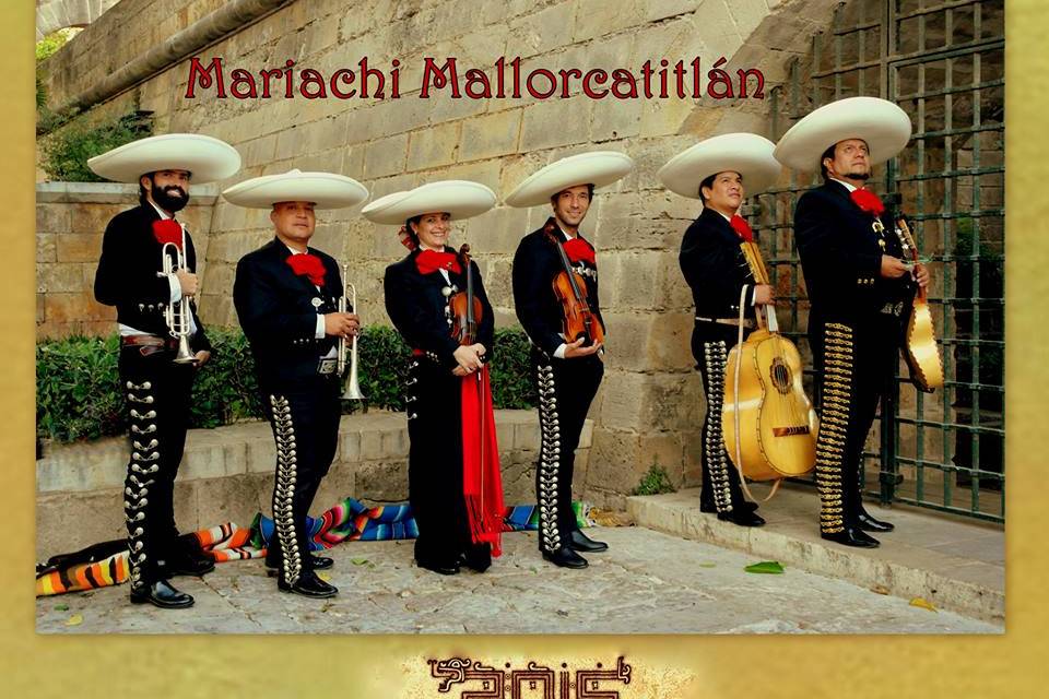 Mariachis, bandas, solistas