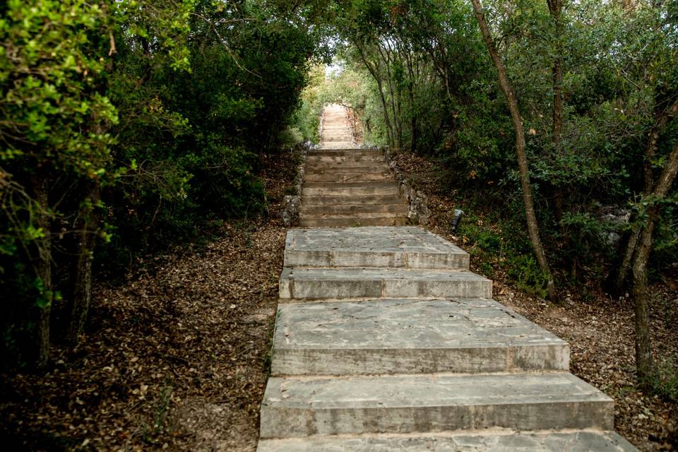 Bosque de robledales