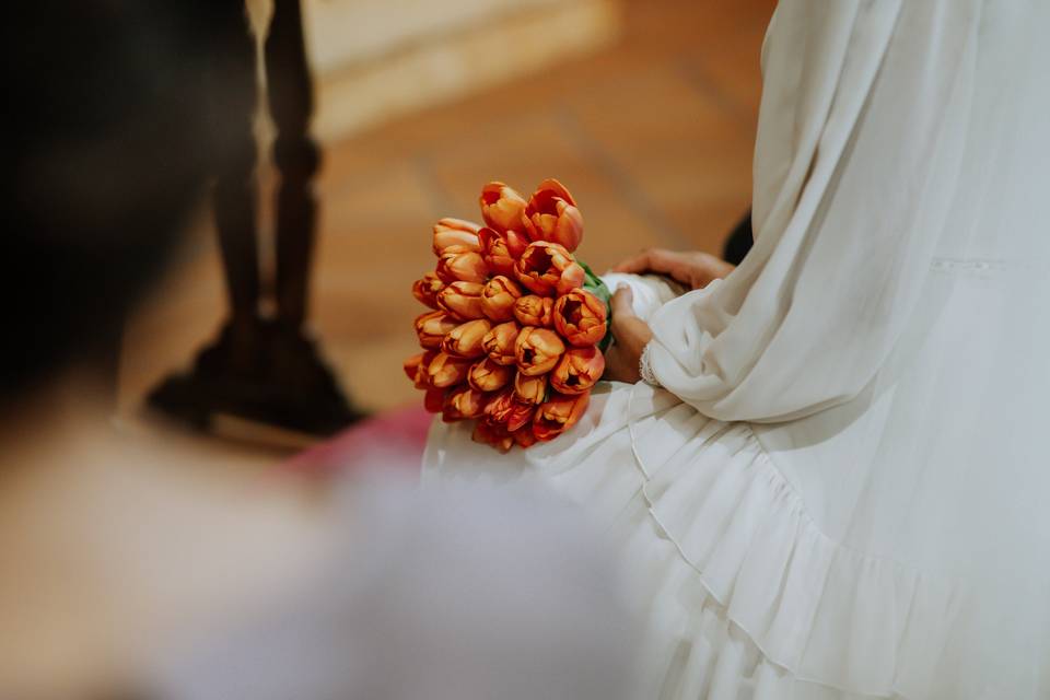 Tulipanes