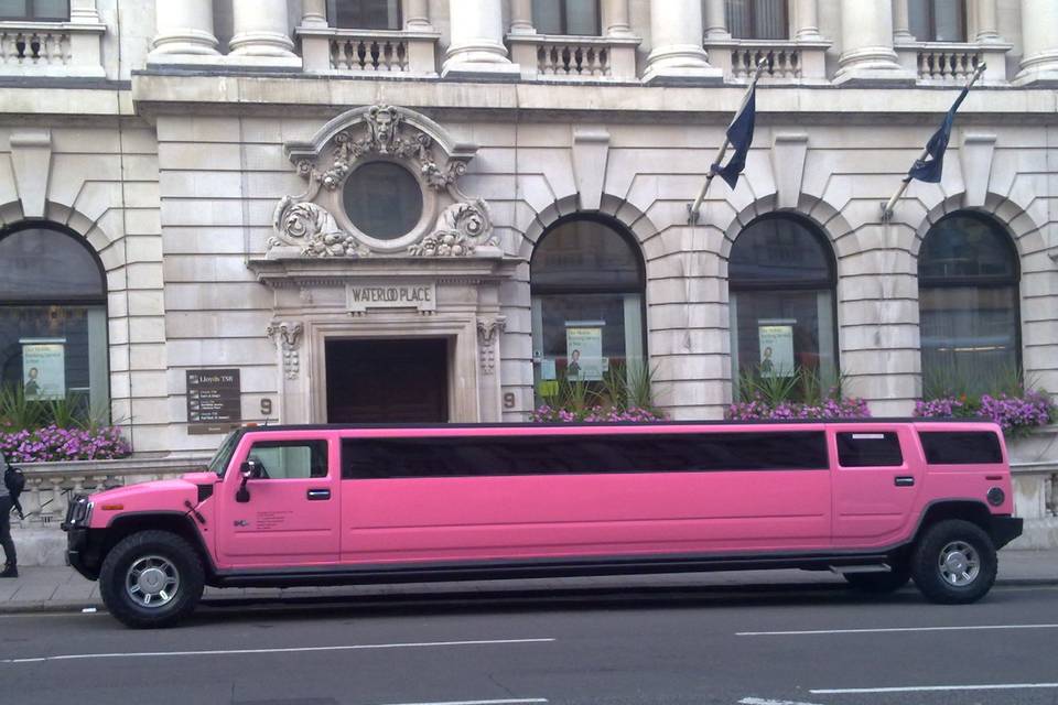 Hummer rosa