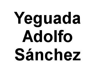 Yeguada Adolfo Sánchez