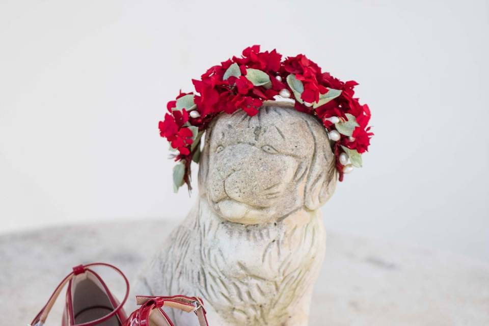 Anisset Ibiza