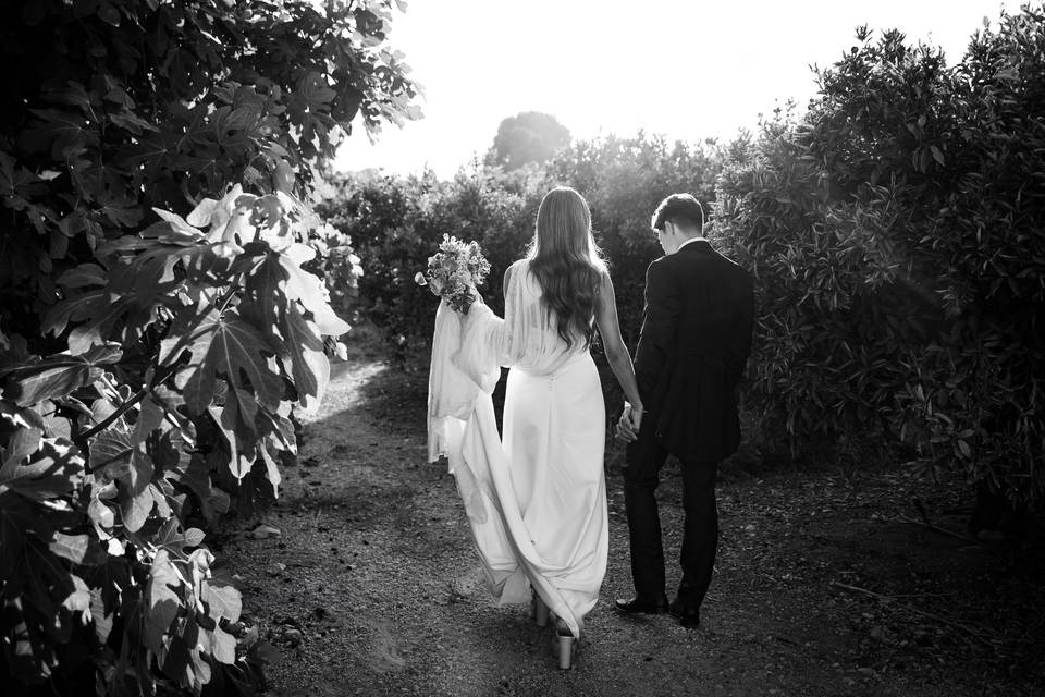 Dreamer Photographer