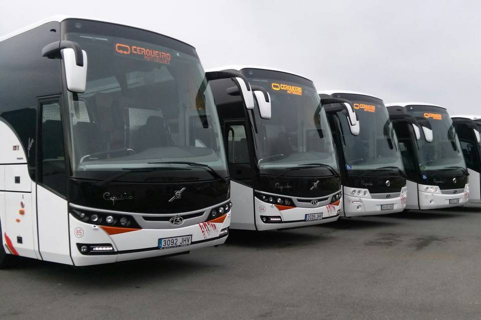 Autobuses Cerqueiro