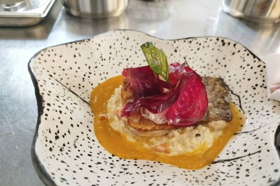 Corvina con risotto