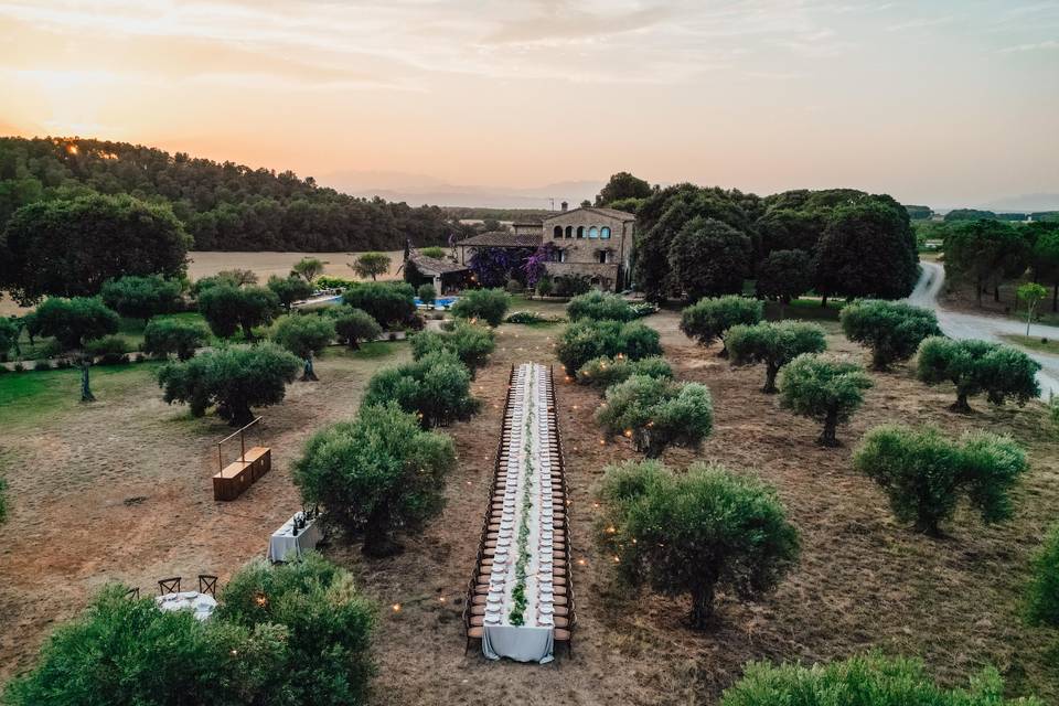 Masia