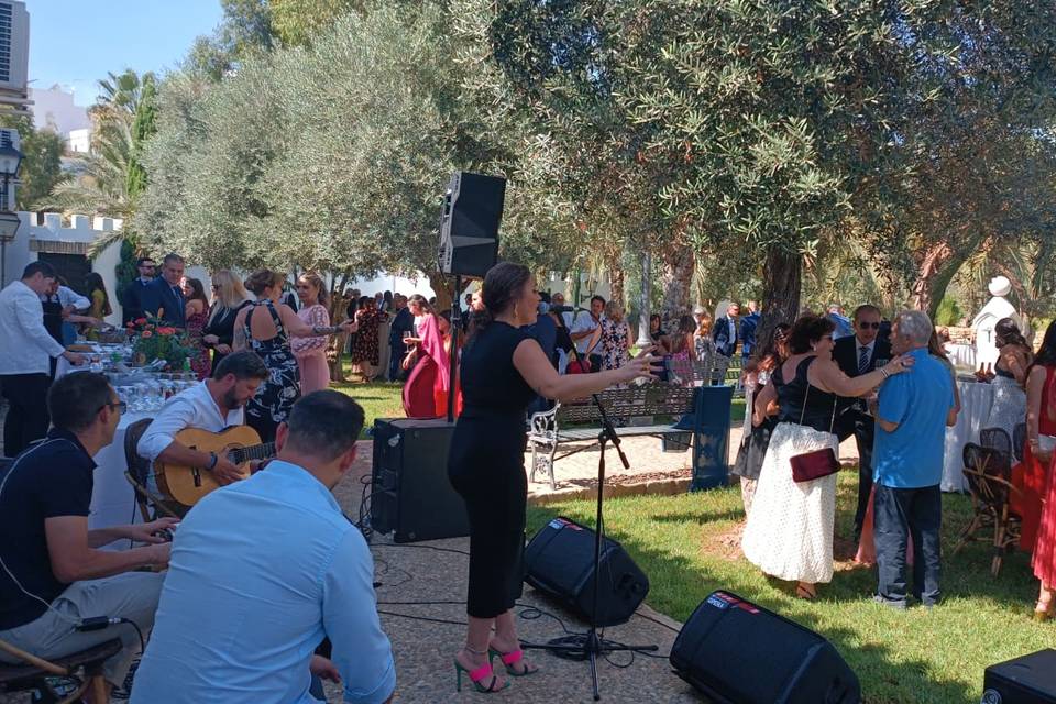 Apolo Sonido & Eventos