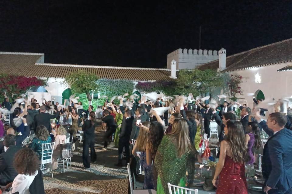 Apolo Sonido & Eventos