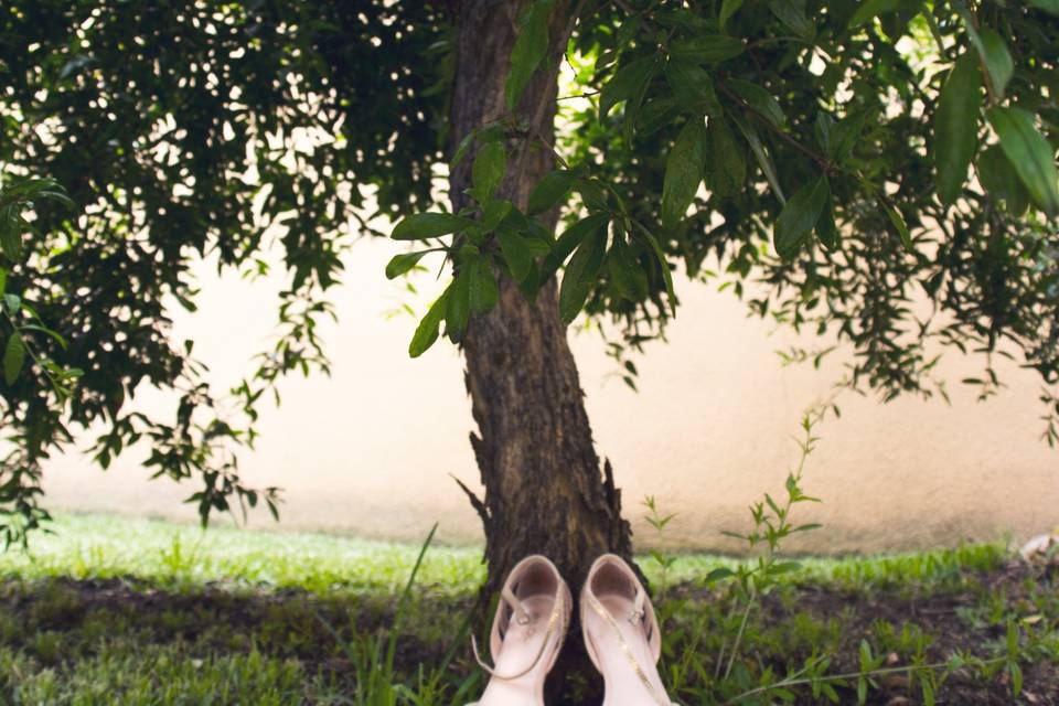 Zapatos de la novia