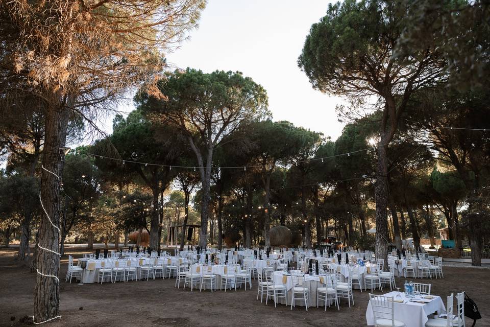 Cena al aire libre