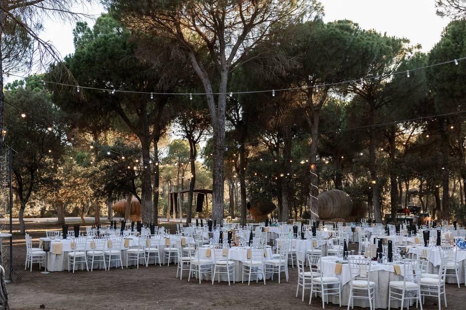 Cena la aire libre