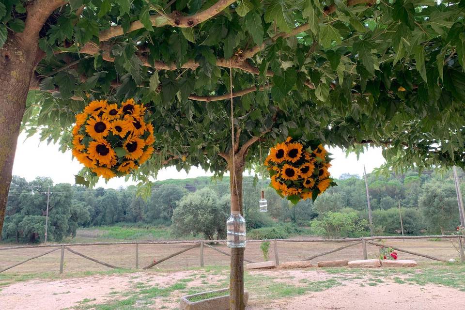 Bolas de girasoles