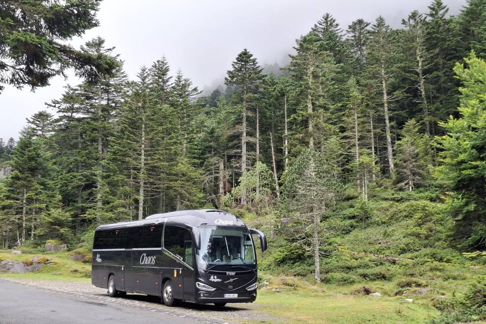 Bus Negro