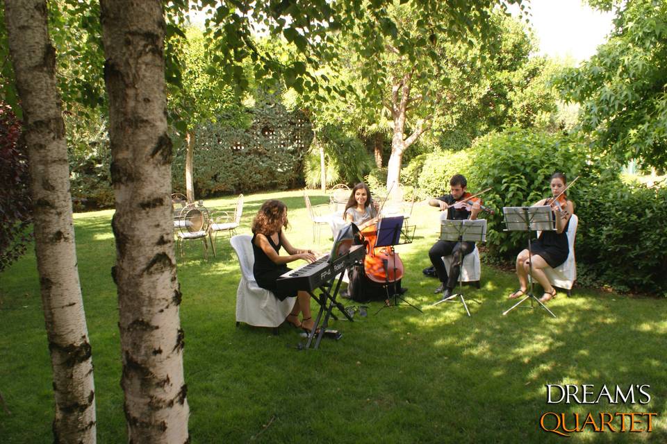 Tocando en una boda civil