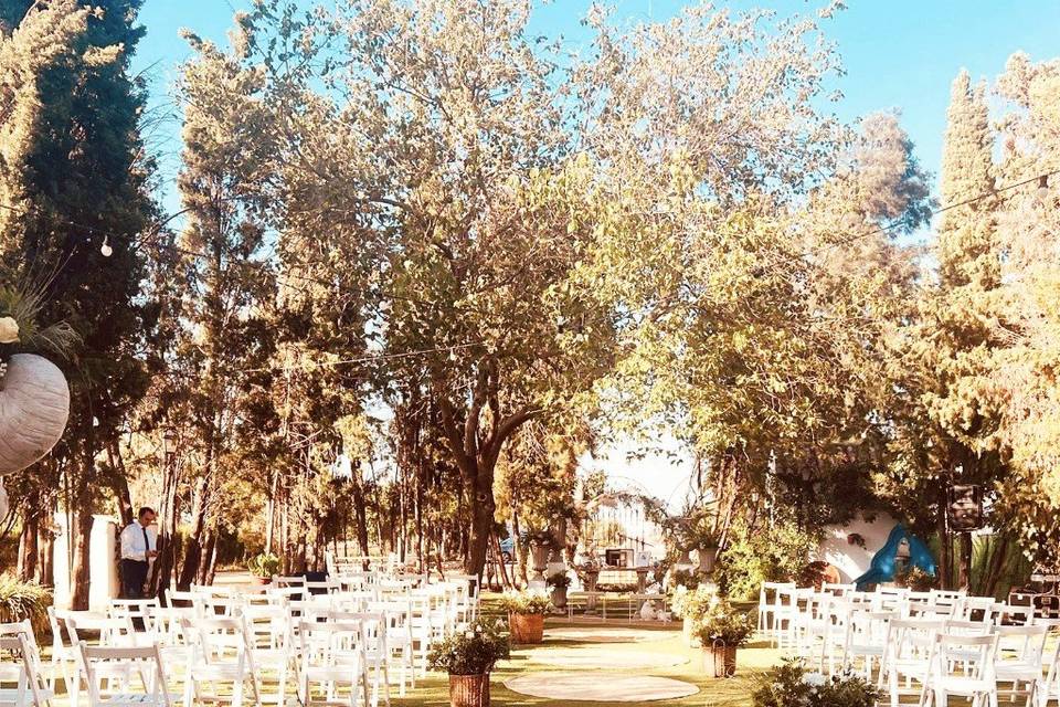 Ceremonias bonitas