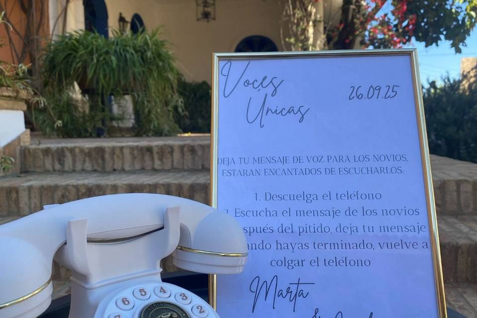 Detalles