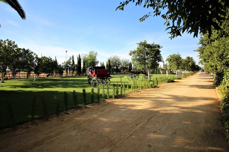 Hacienda Las Yeguas