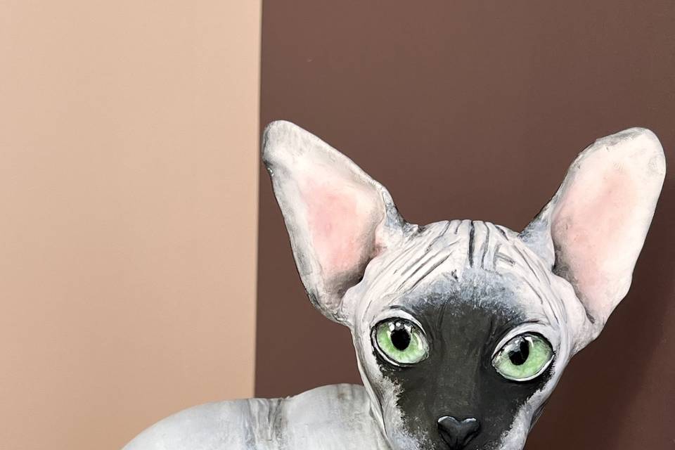 Gato esfinge
