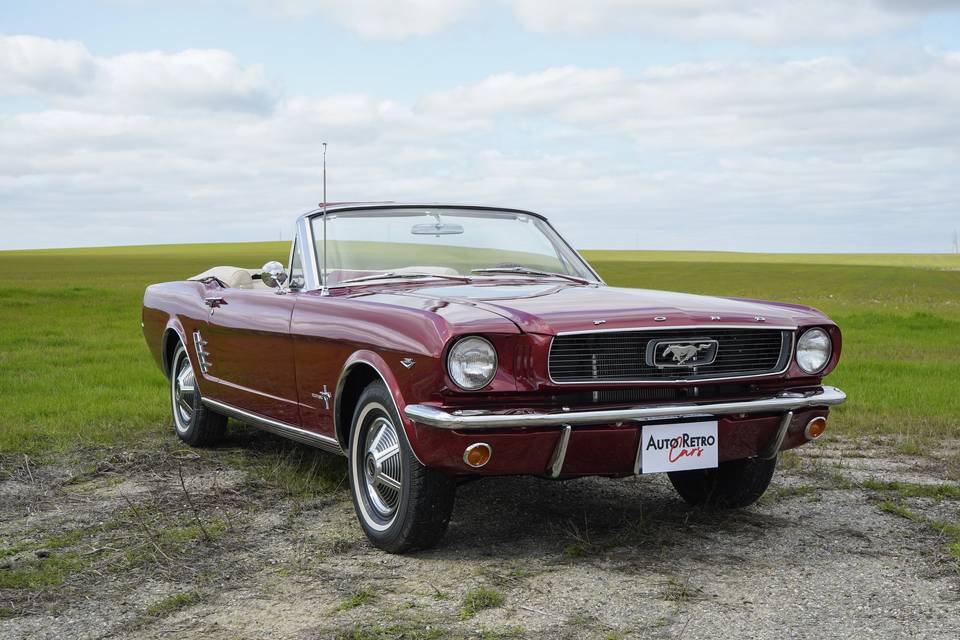 Mustang
