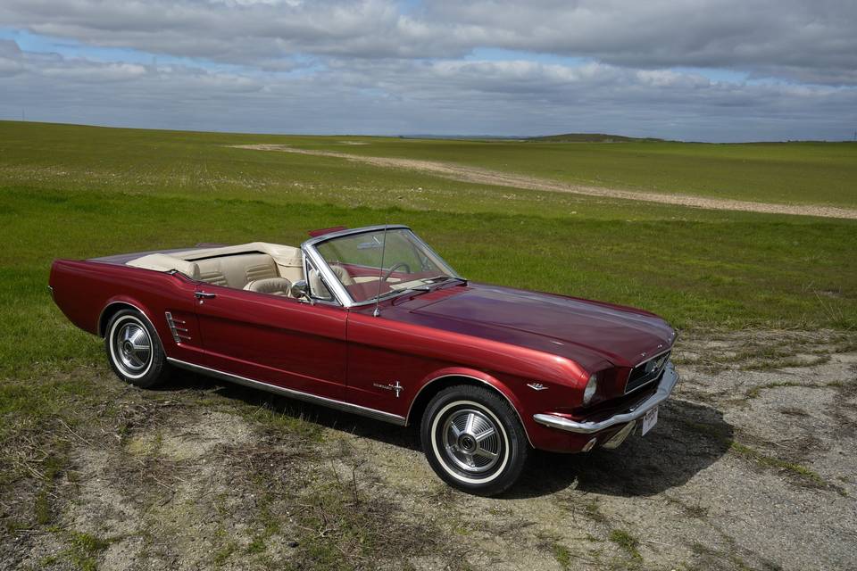 Pony car