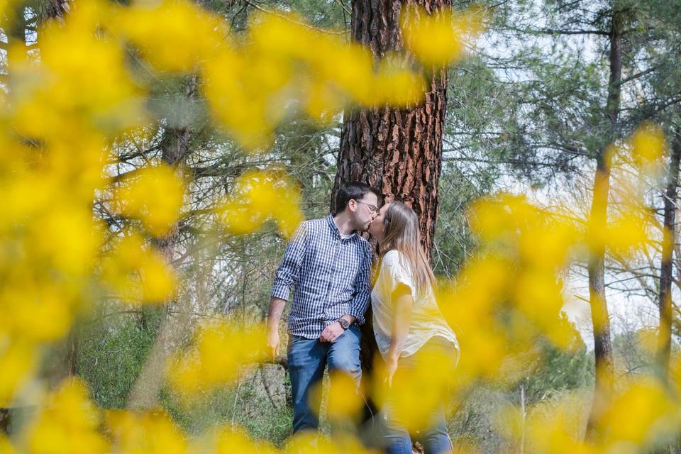 Preboda de Ana y Sergio