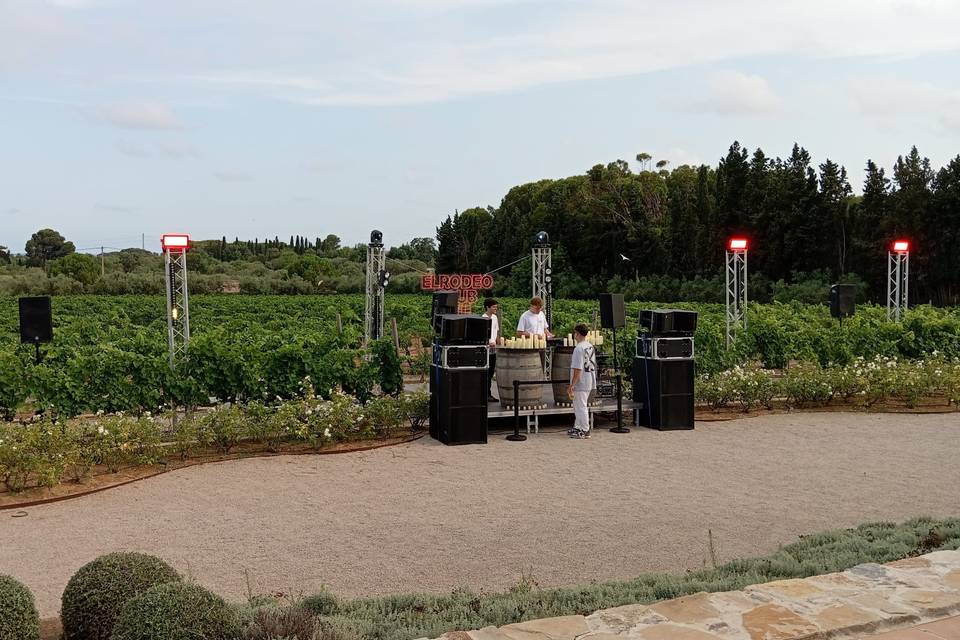 Fiesta de boda en exteriores
