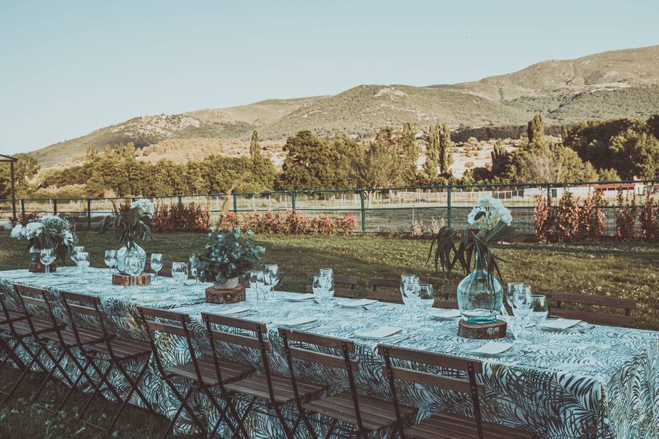 Banquete en jardín