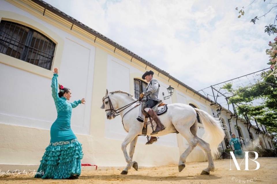 Espectáculo flamenco