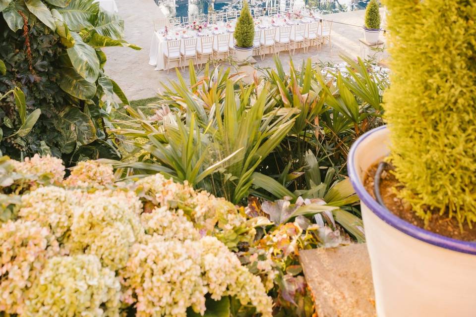 Coordinación de bodas