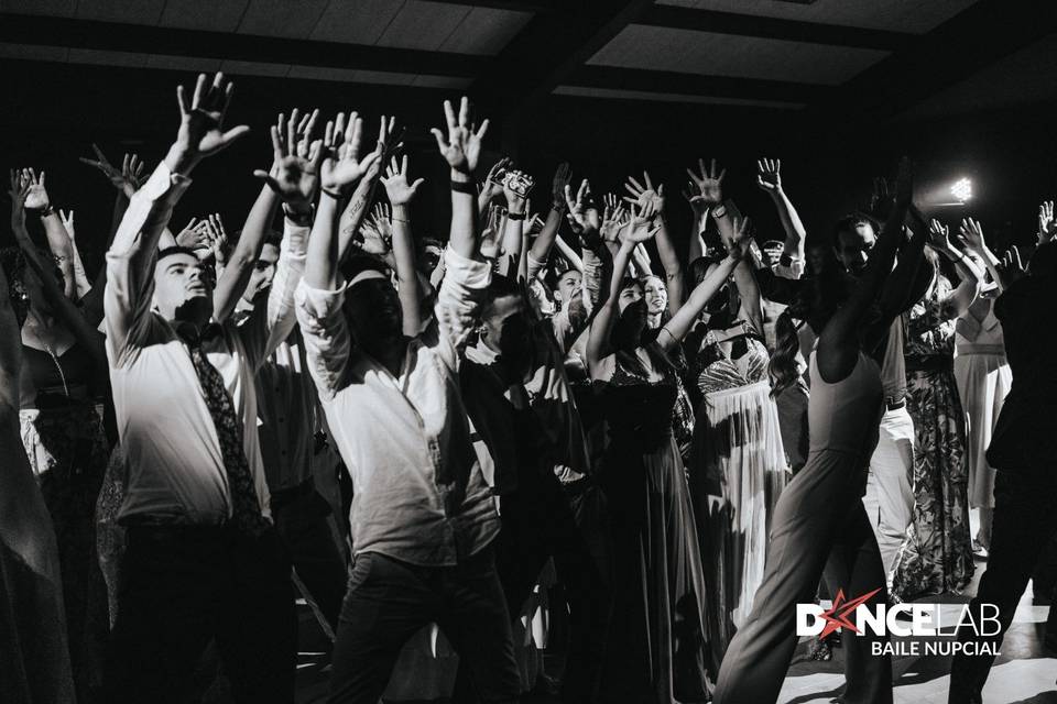 Animación boda