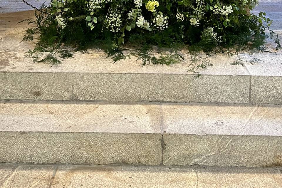 ACHILLEA