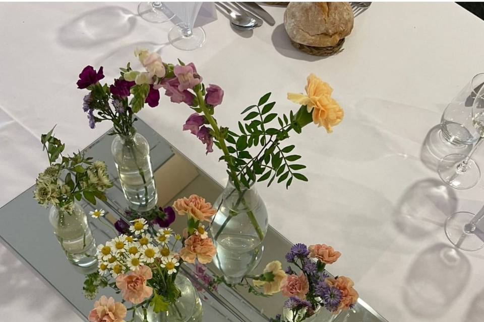 ACHILLEA