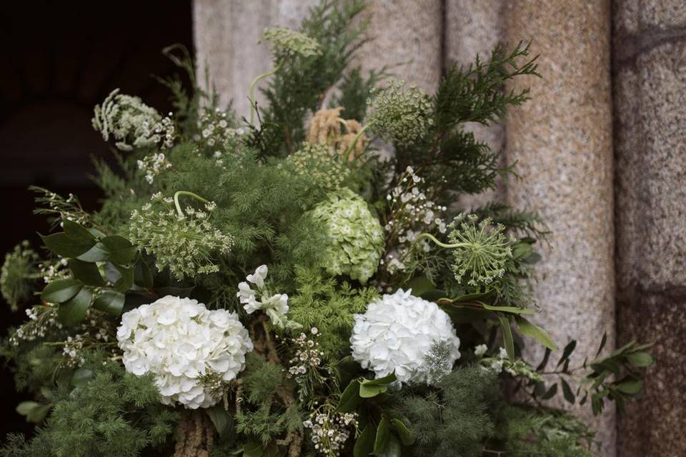 ACHILLEA