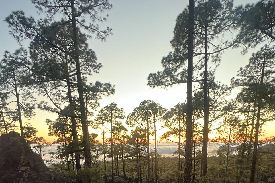 Picnic romantico al atardecer