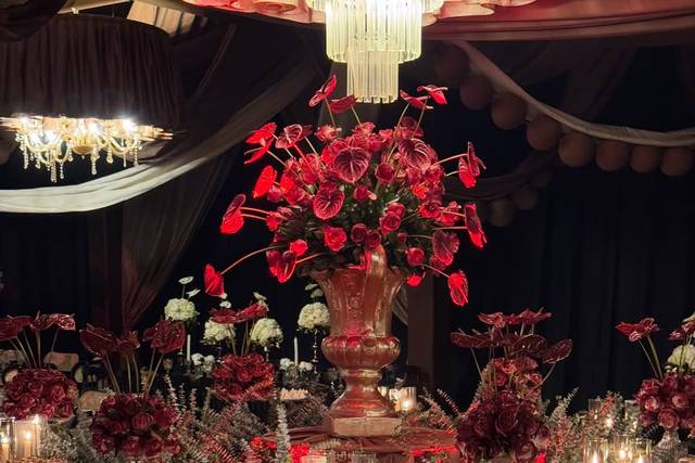 Amor Amor Eventos