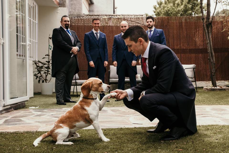 Novio con su mascota