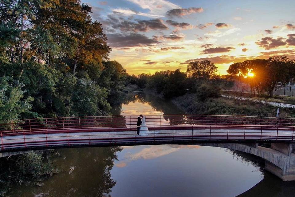 La Vega del Henares