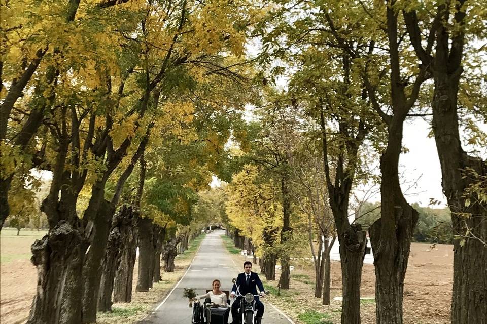 Bodas de otoño