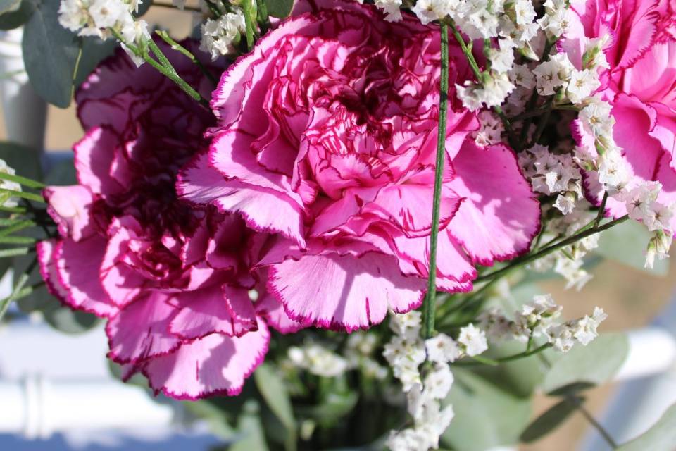 Flores