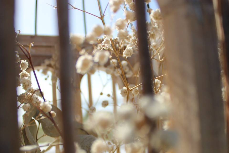 Detalles