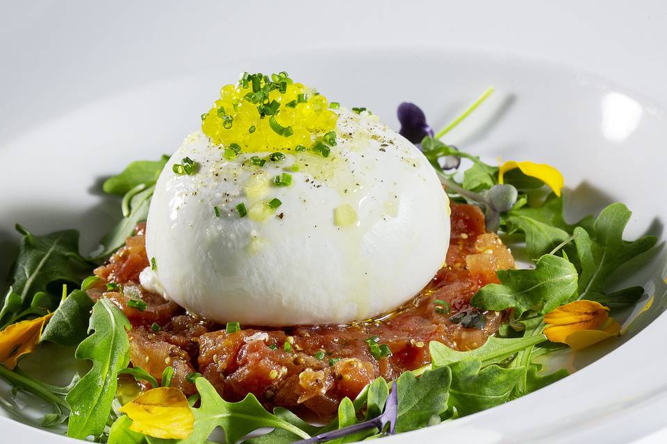 Burrata