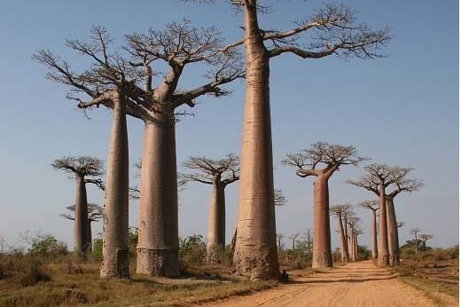 Zafiro Tours Manises