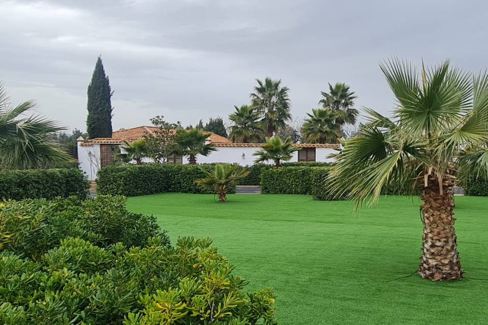 Patio de la Manzanilla