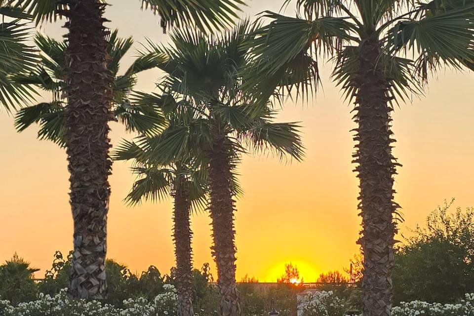 Atardecer en Quinta Santa Marí
