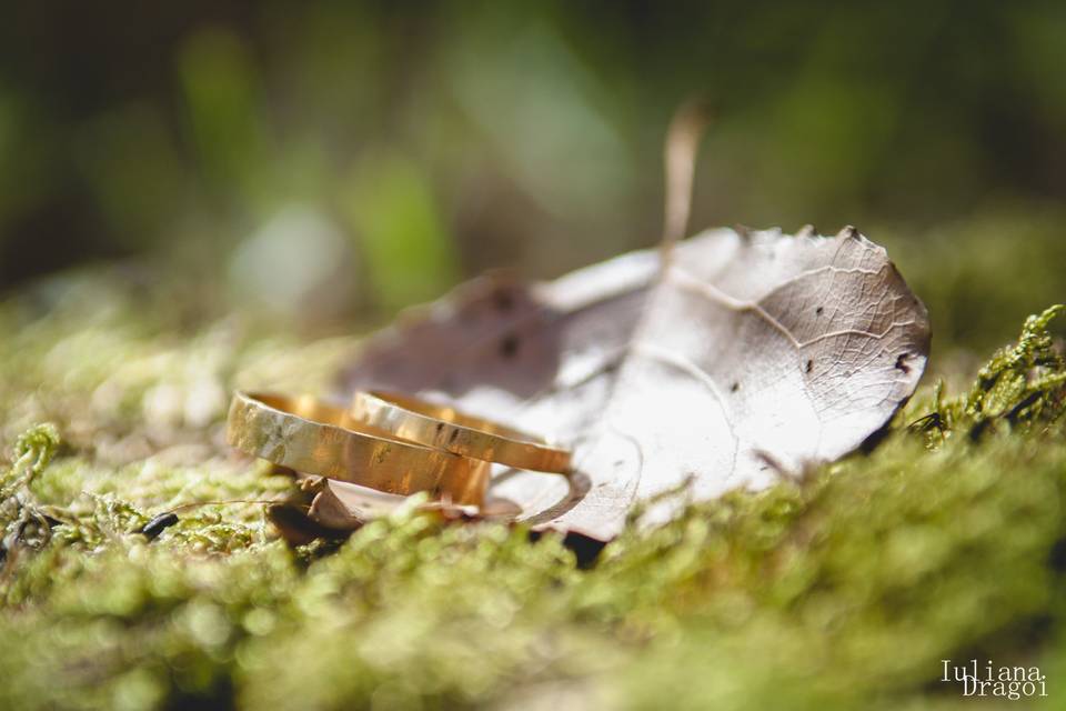 Anillos